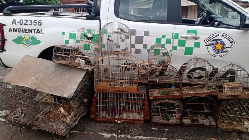 Homem é multado em R$ 15,5 mil por capturar aves e usá-las como “isca”