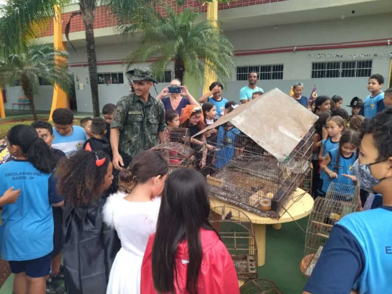 Aves foram levadas a escola municipal. Foto: Divulgação/Polícia Militar Ambiental