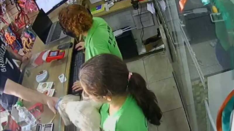 ‘Nunca neguei socorro’, diz dona de pet shop sobre cão com a língua cortada em São José