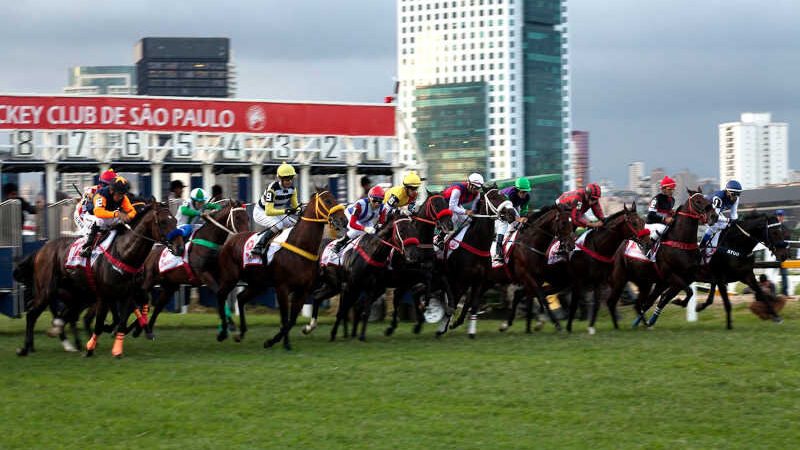Vereadores de SP aprovam proibição de corrida de cavalo com apostas; Jockey Club ameaça ir à Justiça