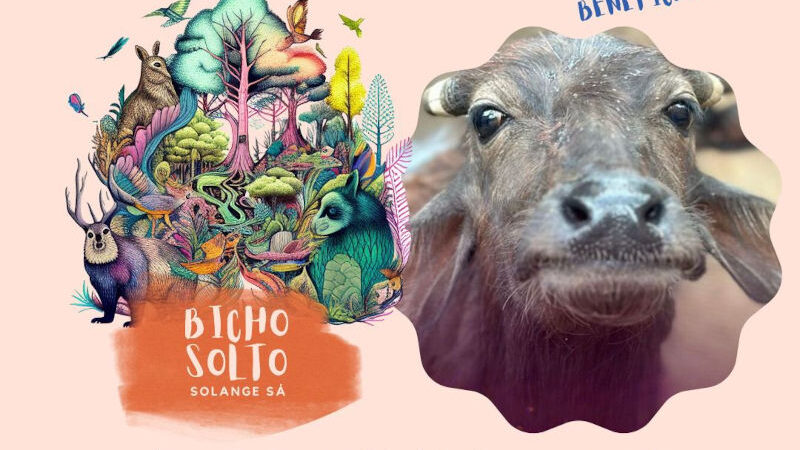 Show ‘Bicho Solto’ em SP reverterá renda para as búfalas de Brotas