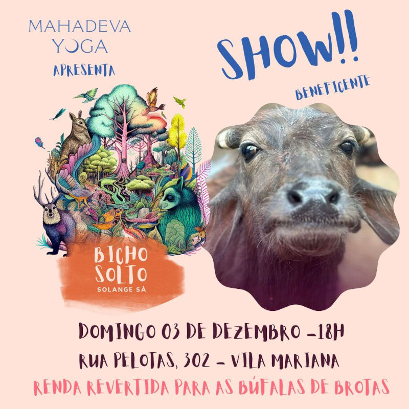 Show ‘Bicho Solto’ em SP reverterá renda para as búfalas de Brotas