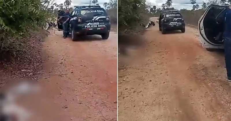 Dois suspeitos são presos por matar cachorro a facadas no interior do Ceará