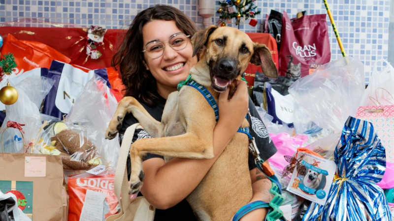 Após desabafo, ONG Patinhas Carentes consegue doações para Natal de pets; veja fotos