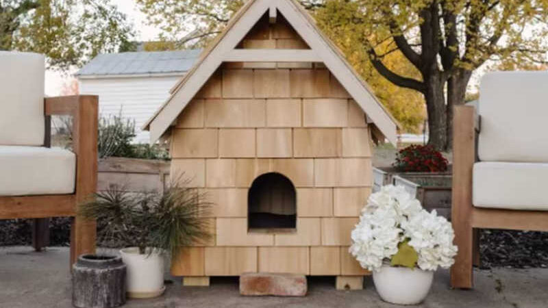 Designers de interiores decidem criar casa para animal desabrigado após se compadecerem