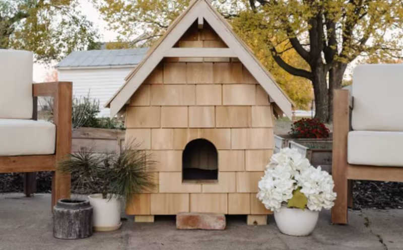 Designers de interiores decidem criar casa para animal desabrigado após se compadecerem