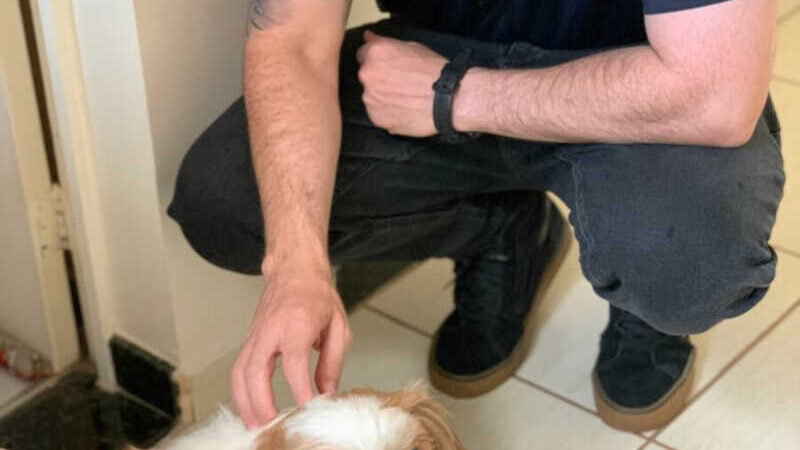 Polícia Civil faz buscas e resgata cão maltratado pelo tutor em Goiânia