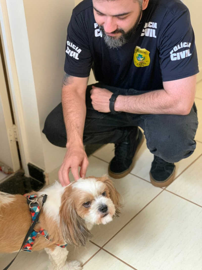Polícia Civil faz buscas e resgata cão maltratado pelo tutor em Goiânia