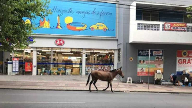 Cavalo solto vaga pela Savassi em direção ao Centro de Belo Horizonte