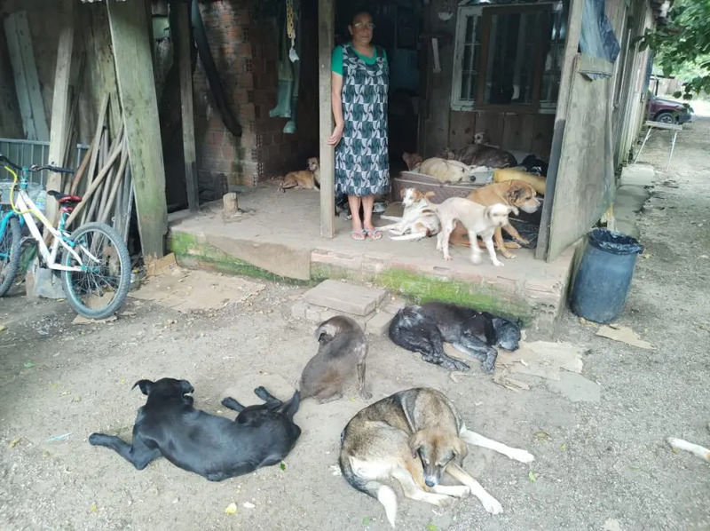 Via de acesso ao zoológico de Curitiba (PR) sofre com abandono de animais; veterinários fazem mutirão de atendimento