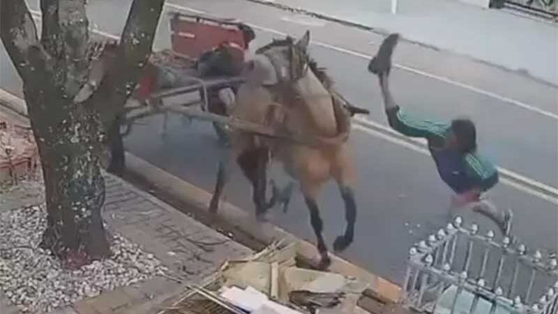 Homem é flagrado agredindo cavalo no Paraná; vídeo