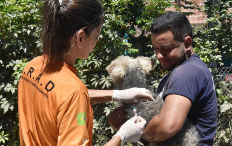 Protocolo sanitário é realizado em cães e gatos do Bracuí, em Angra dos Reis, RJ
