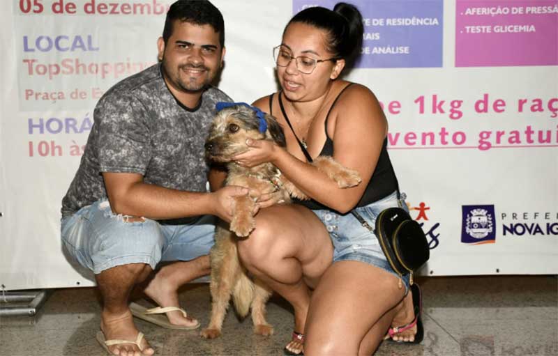 Cão rejeitado após primeira adoção ganha um novo lar em Nova Iguaçu, RJ