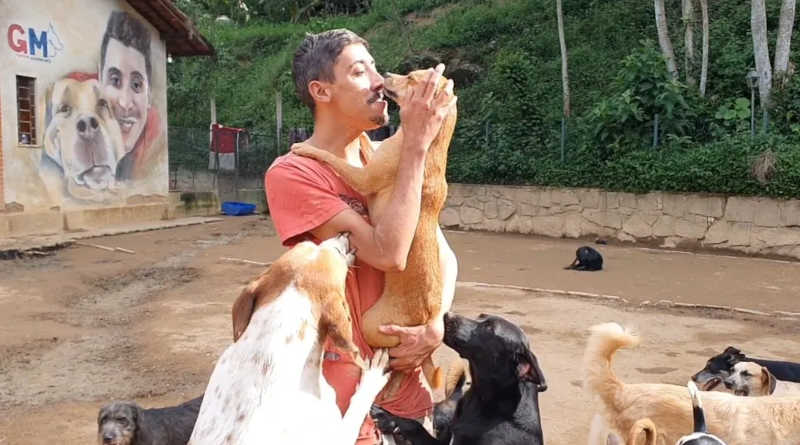Protetor que cuida de 485 cães busca lar para os animais, em Teresópolis, RJ
