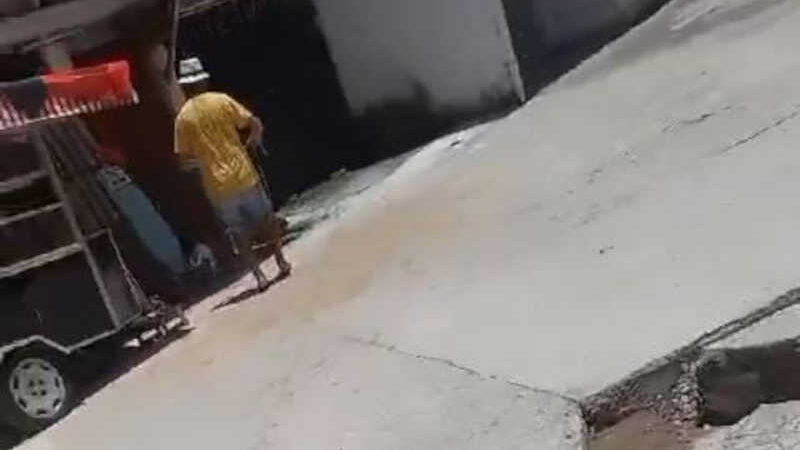 Vídeo: homem é flagrado agredindo filhote de cachorro no Santa Cruz, em Volta Redonda, RJ