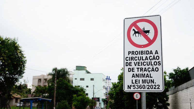 Circulação de veículos de tração animal está proibida no centro de Campo Bom, RS