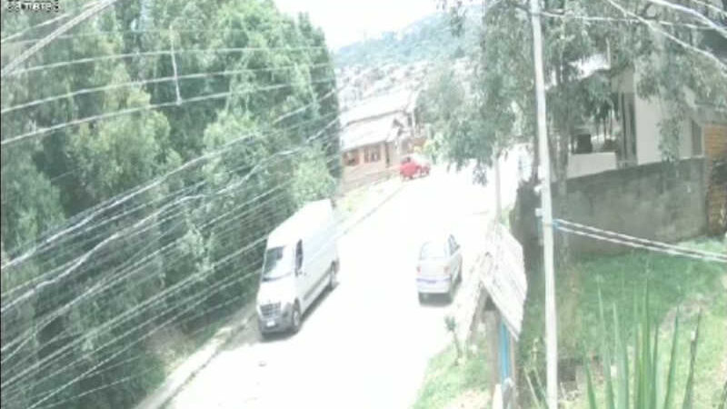 VÍDEO: motorista atropela cachorro e não presta socorro em via do Cidade Nova, em Caxias do Sul, RS