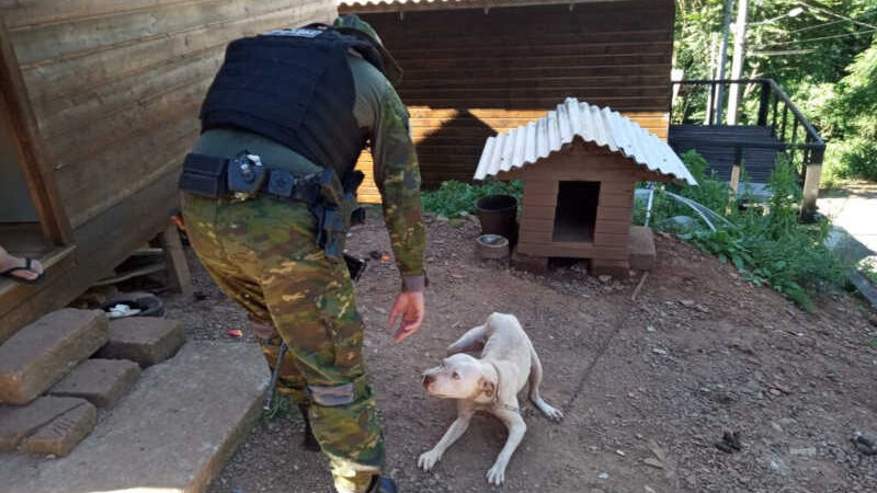 Patram resgata cachorro em situação de maus-tratos, em Gramado, RS