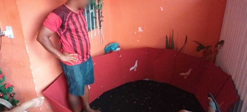 Rinha de galos é fechada após denúncia na zona sul de Aracaju