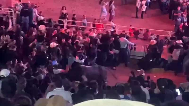 Touro invade arena de rodeio com público que aguardava show da Ana Castela em Avaré, SP