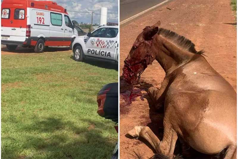 Carro atropela e fere gravemente égua, na João Traficante, em Franca, SP