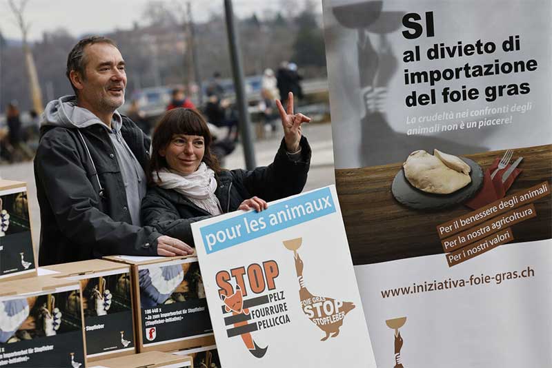 Suíços vão votar sobre importação de foie gras e peles de animais