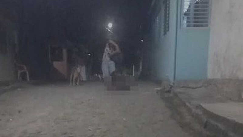 Homem que aparece em vídeo matando cachorro em Cajueiro (AL) ganha liberdade