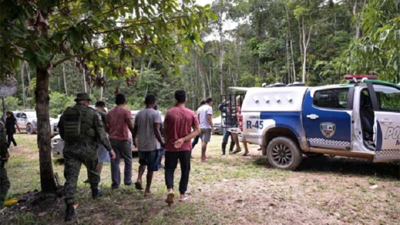 Rinha nacional de galos é desarticulada em Manaus com mais de 80 animais resgatados