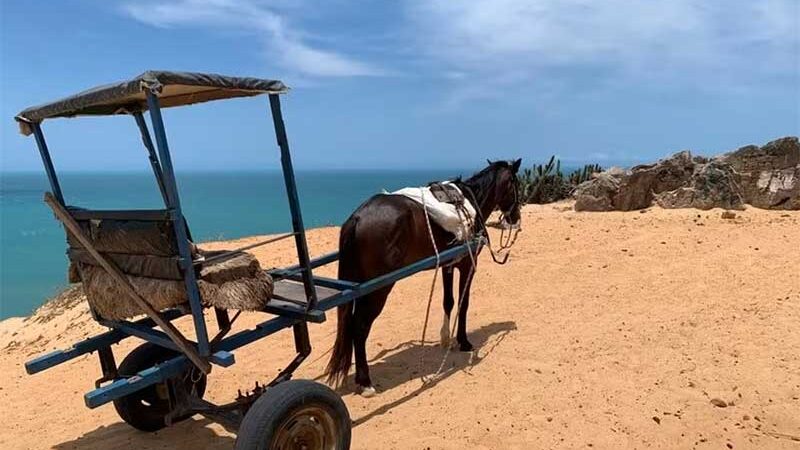 Prefeitura proíbe passeio turístico com animais na Vila de Jericoacoara, litoral do Ceará