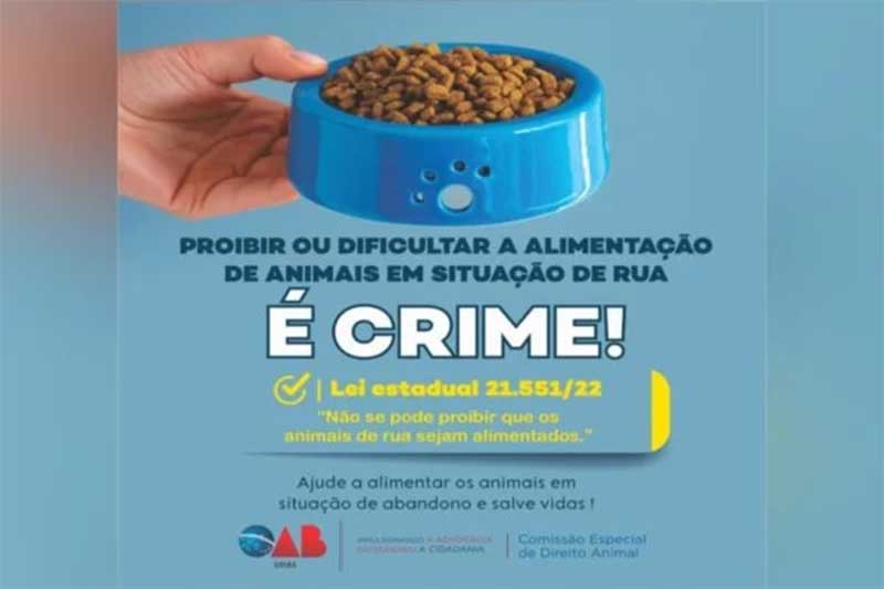 A Comissão Especial de Direito Animal da Ordem dos Advogados do Brasil – Seção Goiás (OAB-GO) lançou nesta terça-feira (19 de dezembro) campanha para alertar sobre a ilegalidade de qualquer medida que proibida ou impeça a alimentação de animais em situação de rua em Goiás