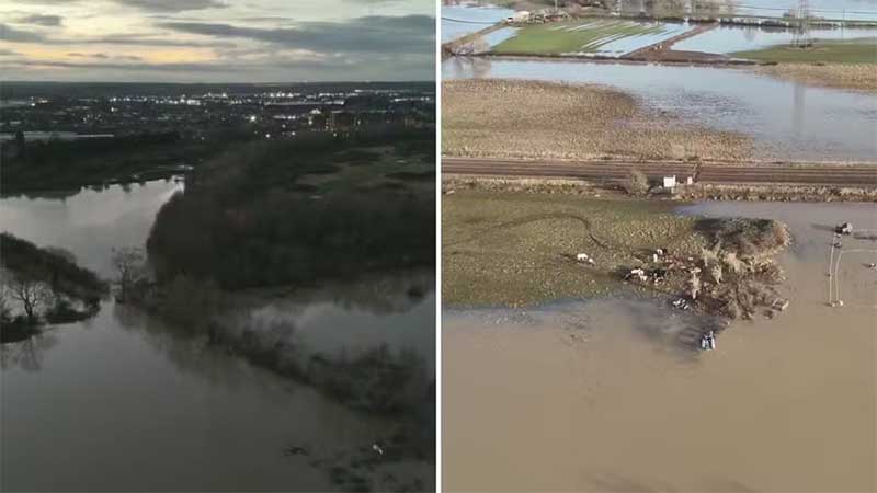 Animais morrem afogados em enchente na Inglaterra; vídeo mostra resgate