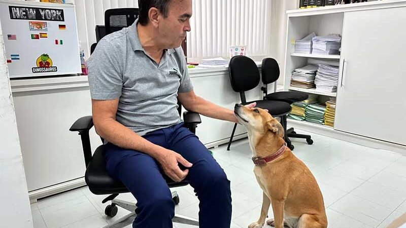 Em meio a crescente nos números de violência animal em Uberlândia (MG), cadela é adotada pela promotoria de justiça