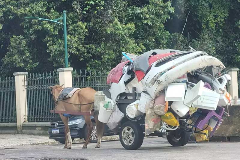 Flagra: cavalo é usado para puxar carroça lotada de entulho, no bairro do Marco, em Belém