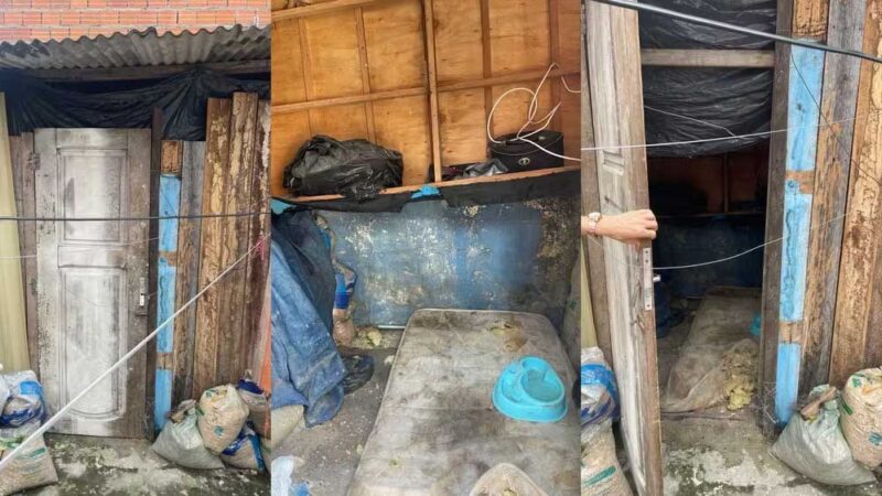 Fotos mostram péssimas condições de local em que animais foram deixados por dona de hotel pet em Belém: ‘muita revolta’, diz vítima que recebeu cão morto