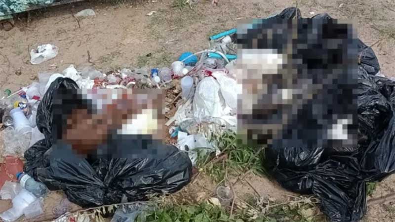 VÍDEO! Cães e gatos são achados mortos em sacos de lixo em Parnaíba, PI; 20 no total