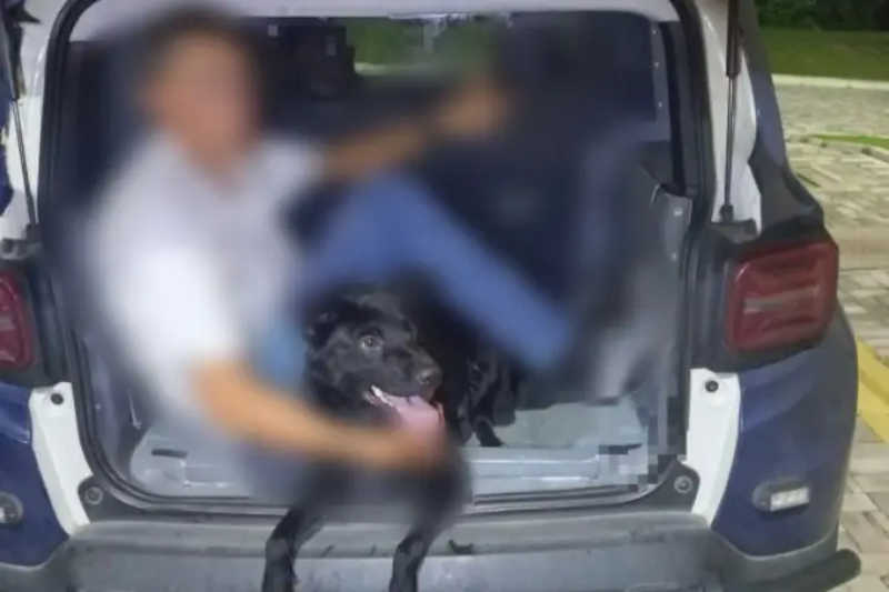 Homem é preso em flagrante ao abandonar cachorro que adotou filhote