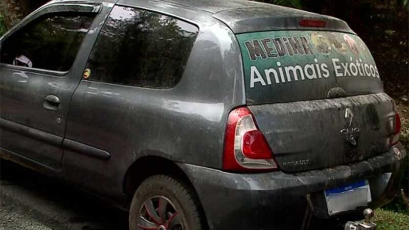 Suspeito de tráfico de animais silvestres é preso em Curitiba