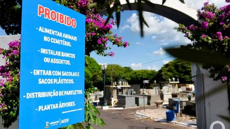 Prefeitura se manifesta sobre placa que proíbe alimentar animais no cemitério em Umuarama, PR