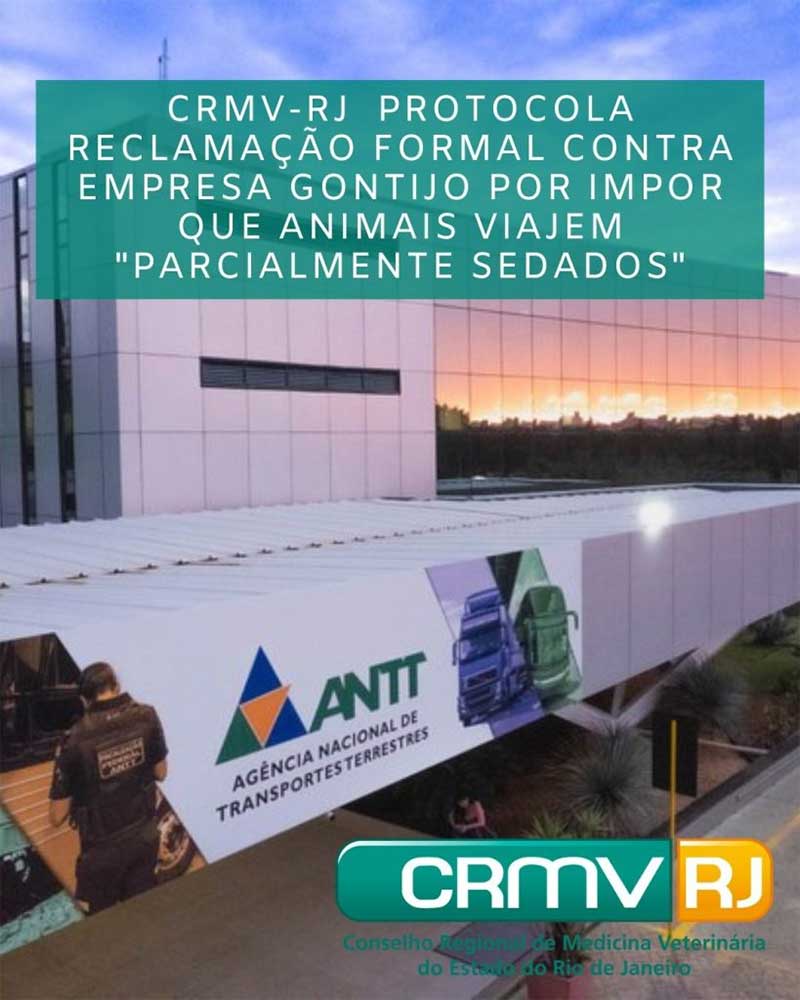 CRMV-RJ protocola reclamação formal contra empresa Gontijo por impor que animais viajem ‘parcialmente sedados’