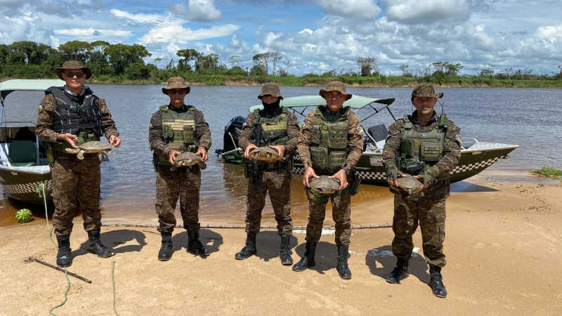 Polícia Militar apreende tracajás, redes e armas em operação ambiental no rio Guaporé, em RO