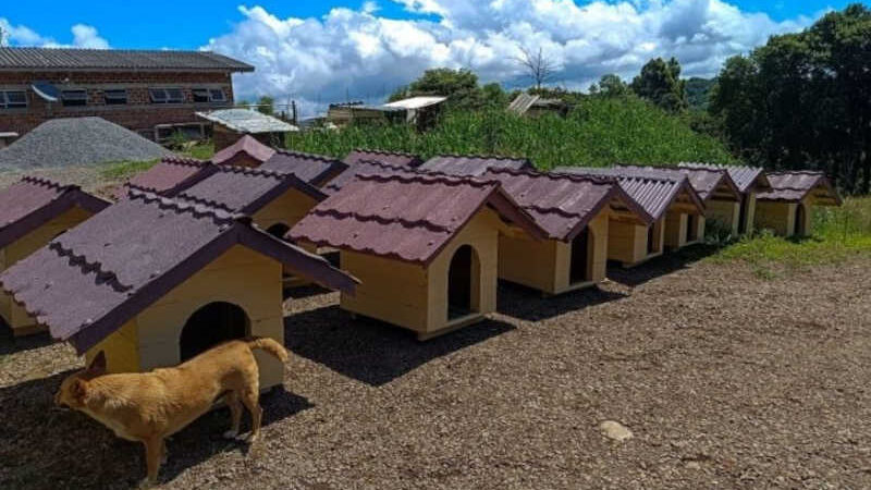 Penitenciária de Caxias do Sul faz doação de casas de cachorro produzidas por apenados para Canil de Farroupilha, RS