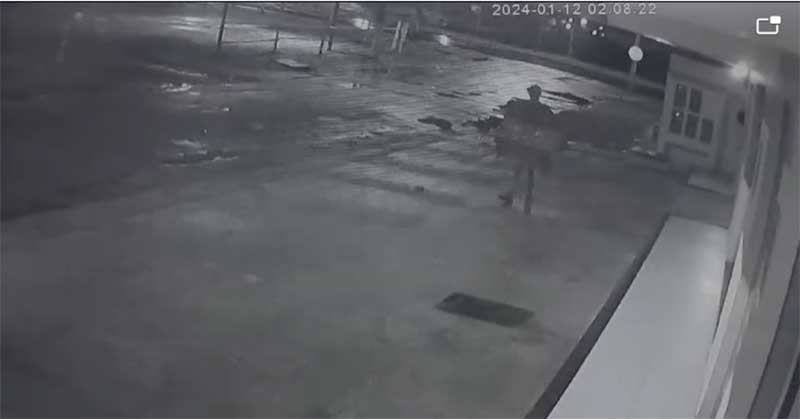 Homem expulsa cachorro e rouba casinha que o animal dormia em Criciúma, SC; vídeo