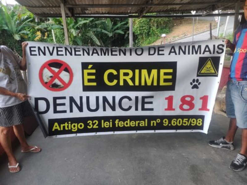 Grupo se mobiliza para denunciar casos de envenenamento de animais em Schroeder, SC