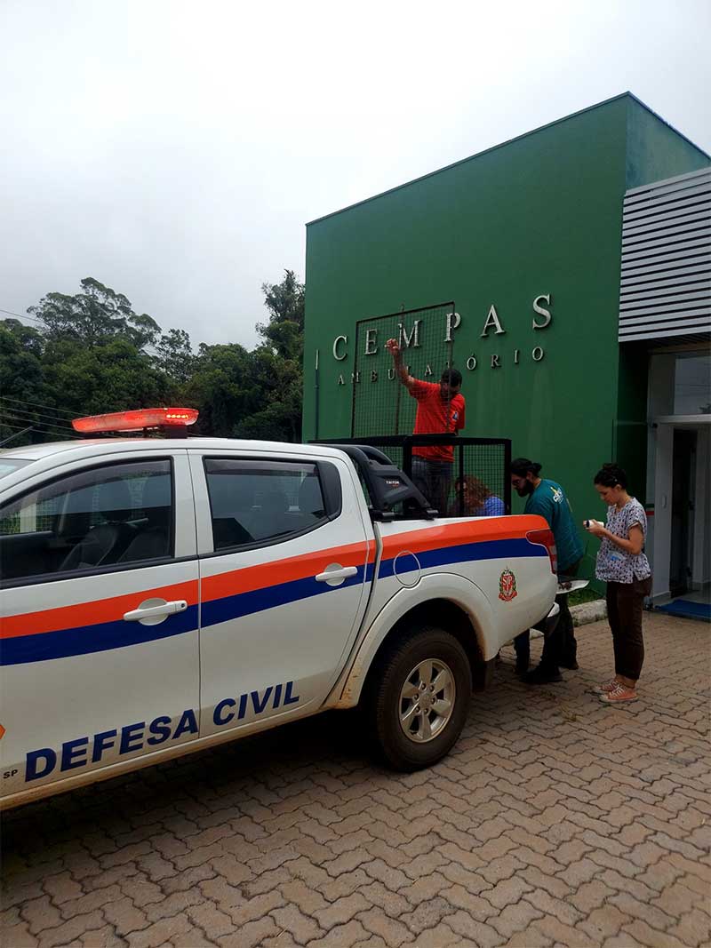 O mamífero foi levado ao CEMPAS, em Botucatu. (Foto: Divulgação/Defesa Civil de Taquarituba)