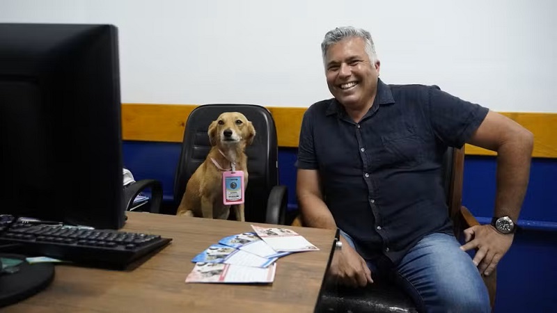 Cachorros viram ‘servidores públicos’ e ganham crachás em Guarujá, SP