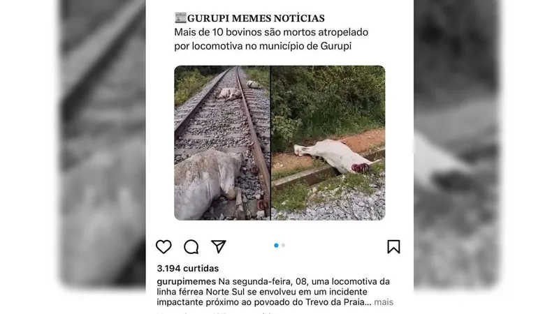 Locomotiva atropela 14 vacas em trecho da ferrovia Norte-Sul em Tocantins