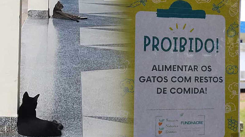 Cartaz avisando que está proibido alimentar gatos com restos de comida na Fundhacre gera protesto; direção esclarece