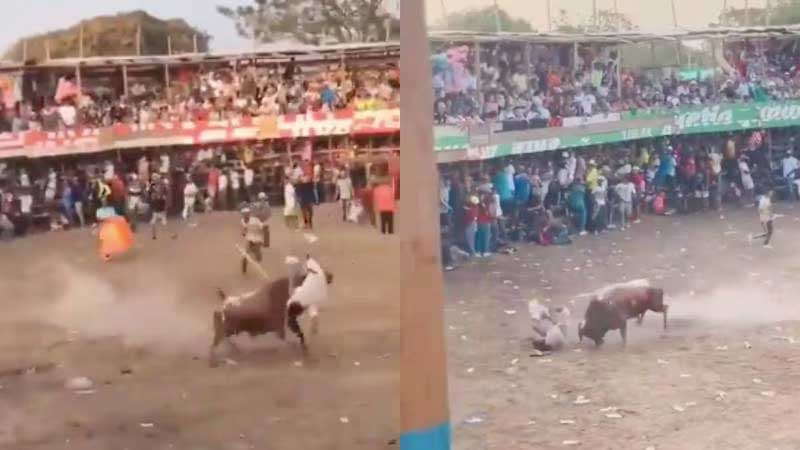 Homem foi atingido por touro maltratado dentro de arena de tourada na Colômbia