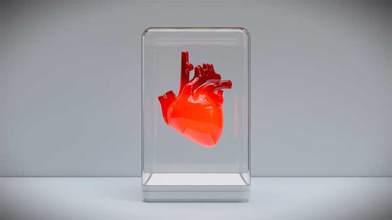 Coração em chip vai acelerar testes de remédios, substituindo animais