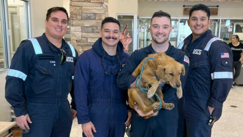 VÍDEO: Guarda Costeira dos EUA resgata cachorro preso em contêiner há mais de uma semana